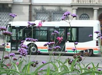 Udine. Nuovo presidente Saf: soddisfatto L'assessore regionale Riccardi