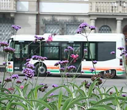 Udine. Nuovo presidente Saf: soddisfatto L'assessore regionale Riccardi