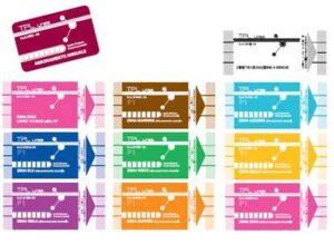 Savona. Dal 1 luglio via al nuovo sistema tariffario integrato