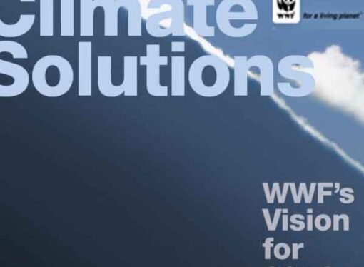 Roma. “The Energy Report”: entro il 2050 mondo alimentato solo da energia pulita e rinnovabile