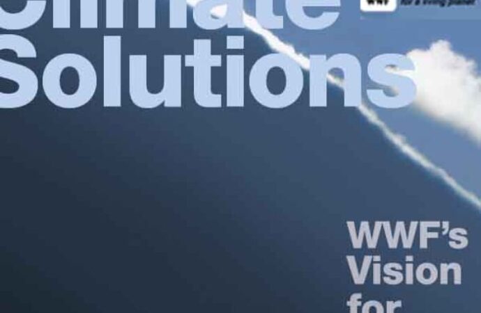 Roma. “The Energy Report”: entro il 2050 mondo alimentato solo da energia pulita e rinnovabile
