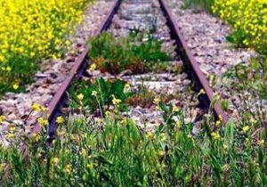 Roma. Domenica giornata nazionale delle ‘Ferrovie Dimenticate’