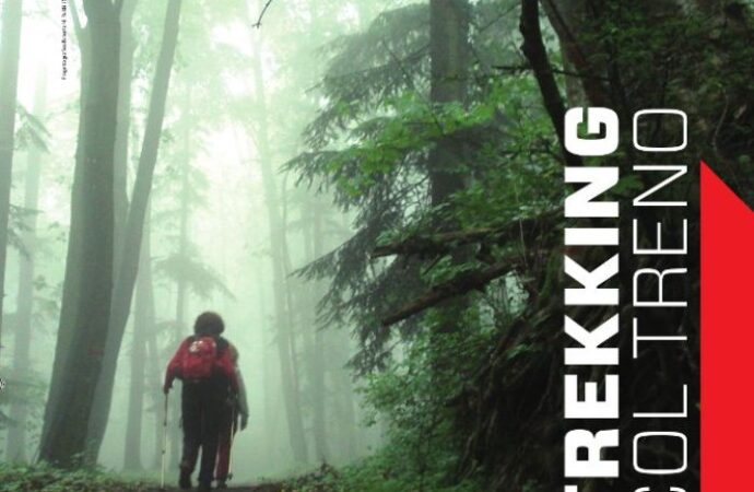 Trekking col treno 2013