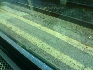 Non calpestiamo la linea gialla. Restiamo in campo