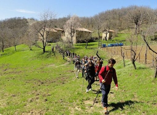 Parte “Trekking col treno” 2014