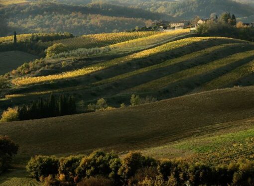 Regione Toscana, entro settembre gestore unico Tpl gomma