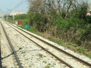 Napoli: “Poca sicurezza sulle tratte ferroviarie: invase da rovi e sterpaglie”