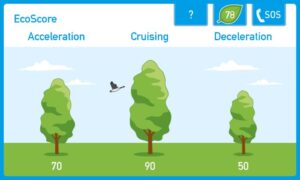 Perché guidare piano e responsabilmente può essere divertente?