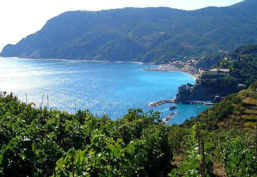 Anche la Liguria aderisce alla Piattaforma di TTS Italia