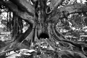 Mobilità in Toscana: “Più diritti, meno profitti”, il 7 marzo a Firenze