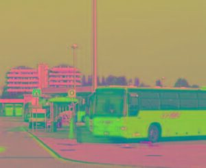 Tar sospende la gara per il tpl in Friuli Venezia Giulia