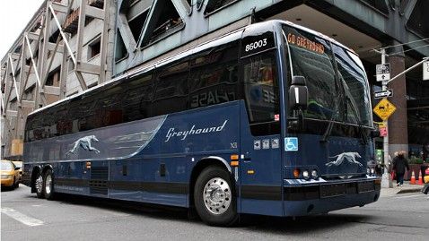 Usa: i bus low cost alla conquista dell’America