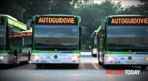 Pavia: il Consiglio di Stato da ragione a Autoguidovie