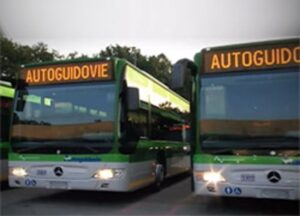 Pavia: gara Tpl, il Consiglio di Stato dà ragione a Autoguidovie