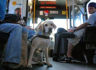 Milano: posto riservato su bus e metro per gli animali