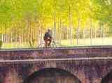 Roma. Isfort e Fs promuovono le Greenways: la via ecologica per valorizzare le linee ferroviarie dismesse