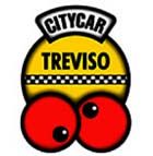 Treviso. La Provincia presenta ´Citycar´: l´auto per tornare a casa sicuri