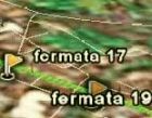 BERGAMO ADOTTA PALMBUS: GESTIONE DELL'INFORMAZIONE IN TEMPO REALE SUI NUOVI BUS DELLE TRATTE URBANE ED EXTRAURBANE