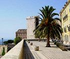 CAGLIARI. AFFIDAMENTO TPL "ESTREMAMENTE DIFFICILE CHE ENTRO IL 31 DICEMBRE VENGA BANDITA LA GARA
