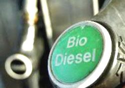 VENEZIA. BIODIESEL E TRASPORTO PUBBLICO: DOMANI CONVEGNO L'UNIONE INDUSTRIALI