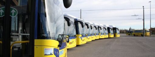 Modena, aMo: customer satisfaction, servizio Tpl da 7,6