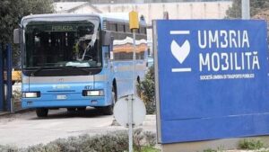 Perugia: per la gata Tpl sono giunte 13 richieste di partecipazione