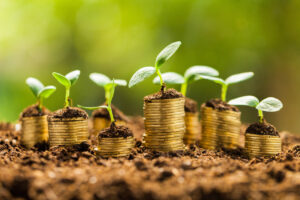 Mims: con il Btp Green finanziati investimenti su trasporti e infrastrutture