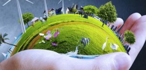 Legambiente: pubblicata la trentesima edizione del rapporto “Ecosistema Urbano”