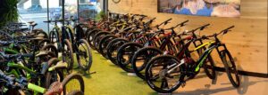 Parma: arrivano gli incentivi per l’acquisto di bici elettriche