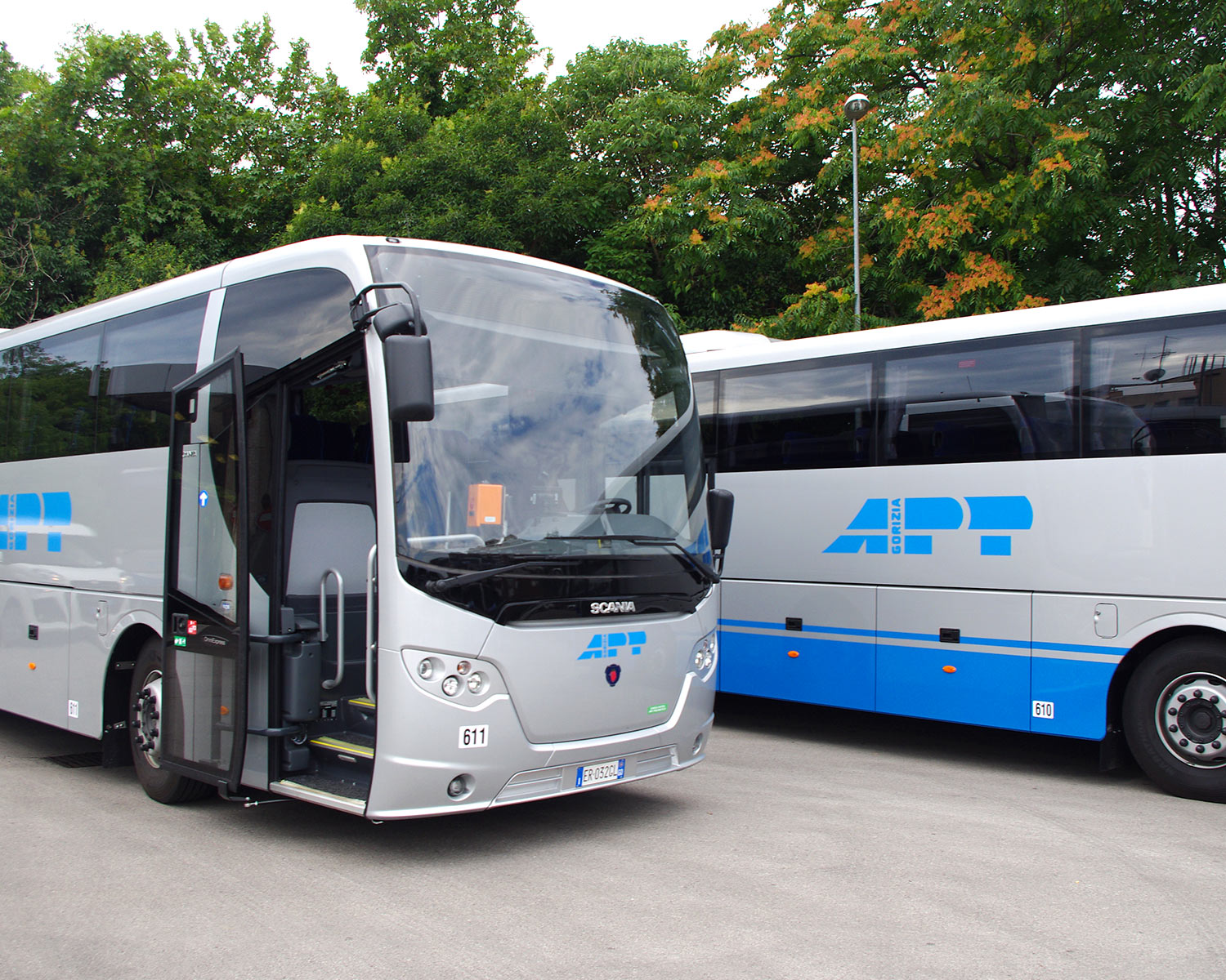 Acquisto T-shirt Ingrosso: Il Risparmio Senza Rinunciare Alla Qualità - | Promozione - Foto 2