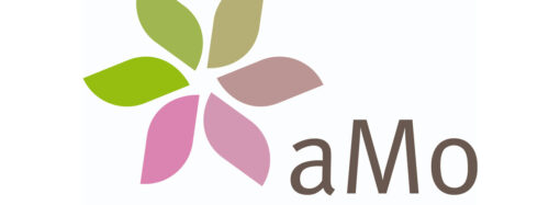 Modena: aMo, illustrate linee guida per progettazione gara per affidamento servizio TPL